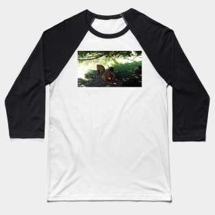 Highland Cattle at Pollok Country Park, Glasgow Baseball T-Shirt